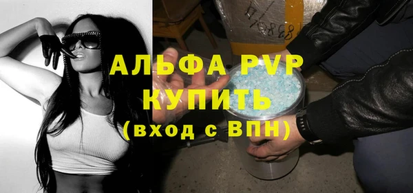 ECSTASY Богданович
