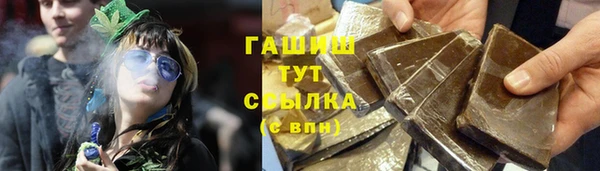 ECSTASY Богданович
