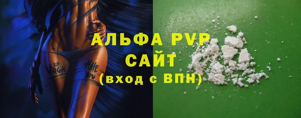 ECSTASY Богданович