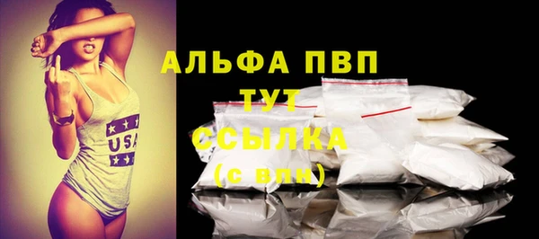 ECSTASY Богданович
