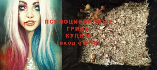 ALPHA PVP Богородск
