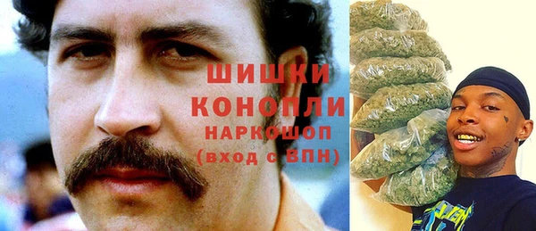 СК Богородицк