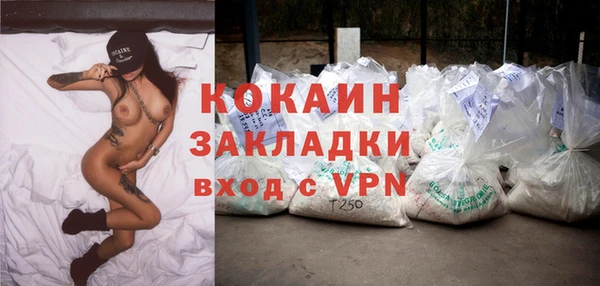 ECSTASY Богданович