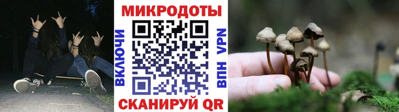 купить наркотик Верхотурье Псилоцибиновые грибы мицелий